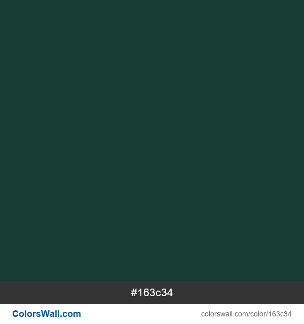 #163c34 Hex color Medium Jungle Green information | ColorsWall