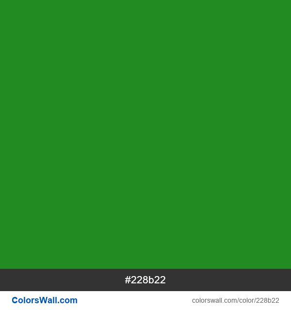 228b22-hex-color-summer-forest-green-forestgreen-forest-green