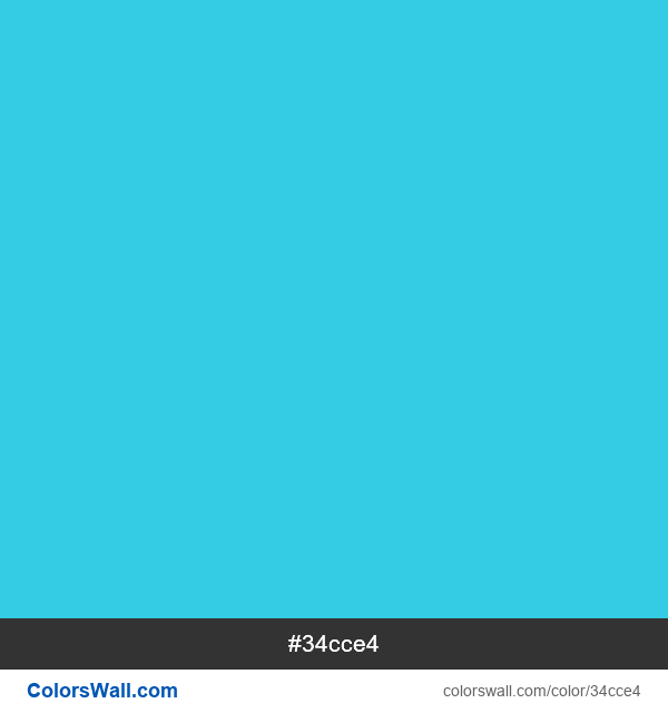 #34cce4 color image