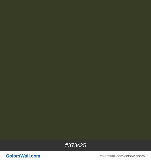 #373c25 Hex color information | ColorsWall