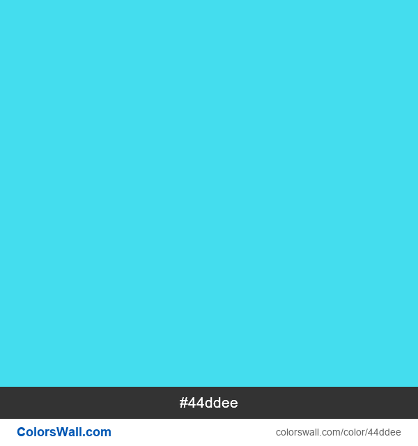 Blue Dacnis #44ddee color image