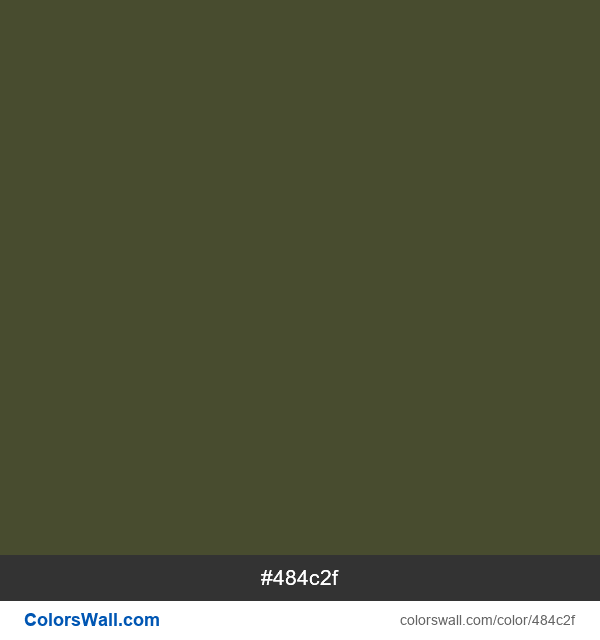 #484c2f Hex color Rifle Green information | ColorsWall