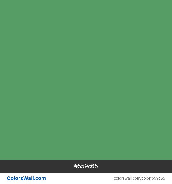 #559c65 Hex color Solitary Tree information | ColorsWall