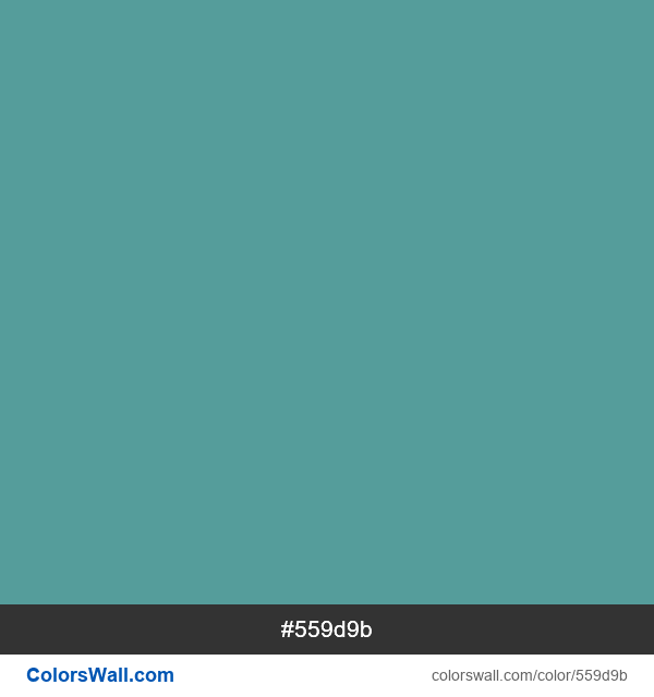  #559d9b color image