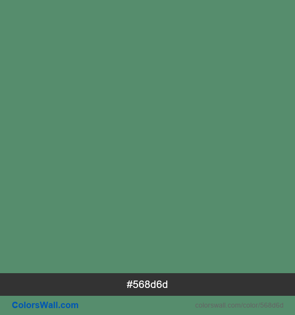  #568d6d 彩色影像