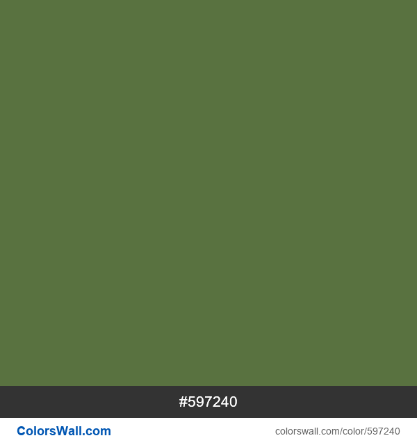 Tints of Dark Olive Green #556B2F hex color - ColorsWall