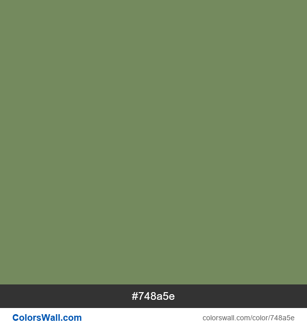 #748a5e Hex color Camouflage Green | ColorsWall