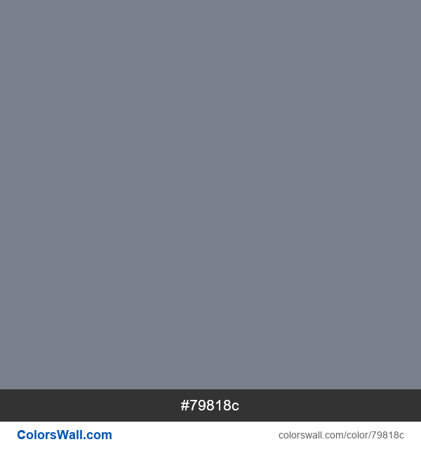 Slate Gray #79818c color image