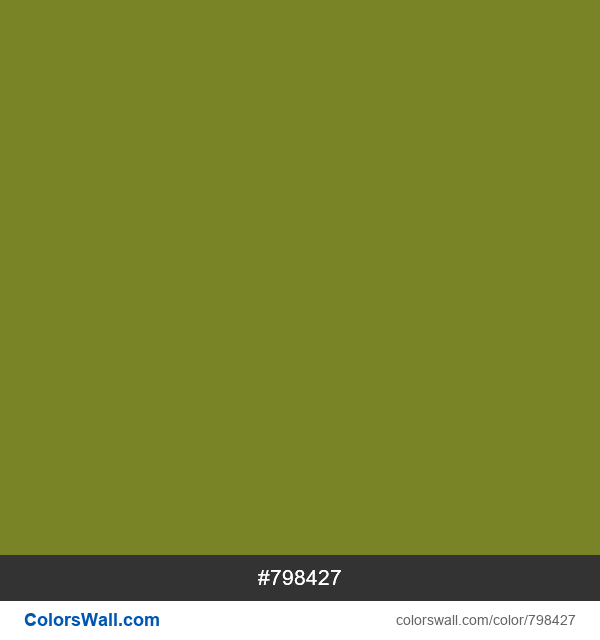 #798427 Hex color Olive Drab (#3) | ColorsWall