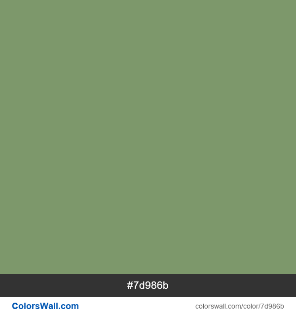 Camouflage Green #7d986b color image