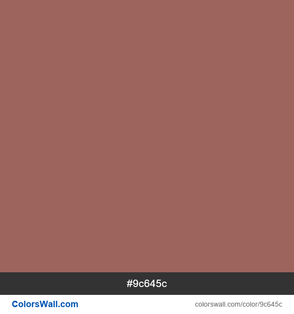 Dark Chestnut #9c645c color image