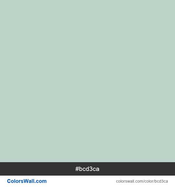  #bcd3ca color image