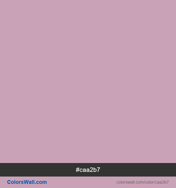  #caa2b7 Farbbild