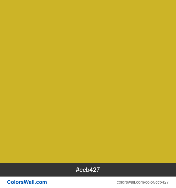  #ccb427 color image