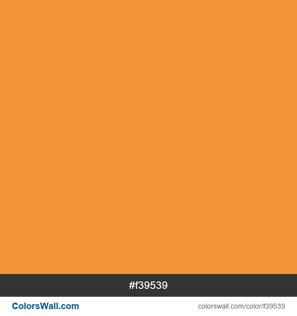Highlighter Orange #f39539 color image