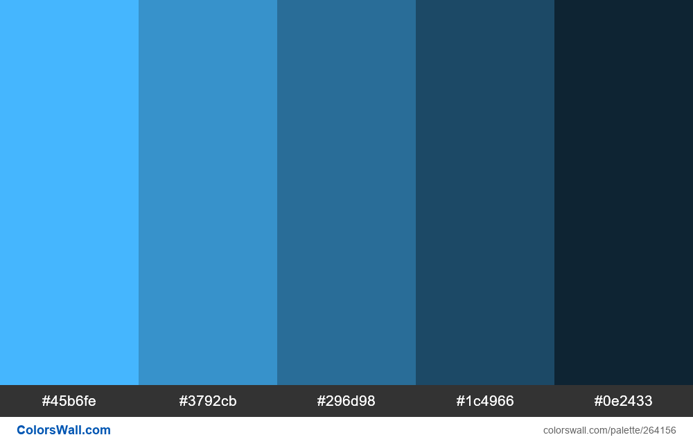 1 colors palette #45b6fe, #3792cb, #296d98 - ColorsWall