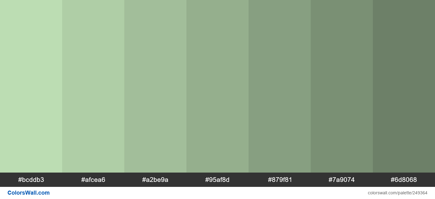 A Mann's Mint shades colors palette - ColorsWall