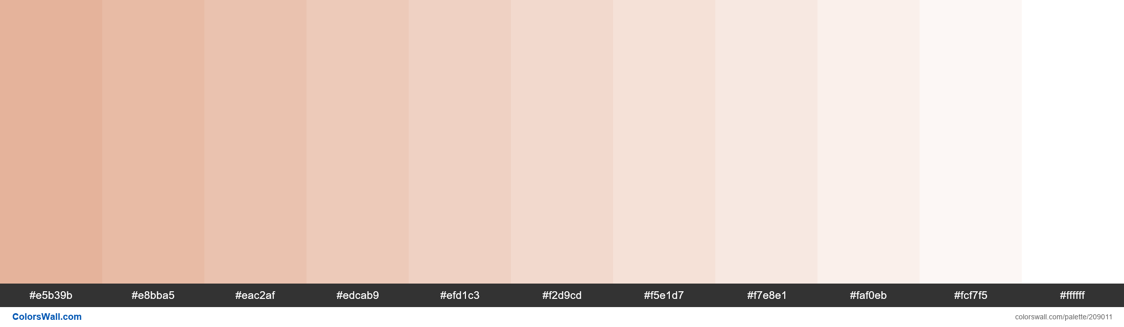 Almost Apricot colors palette - ColorsWall