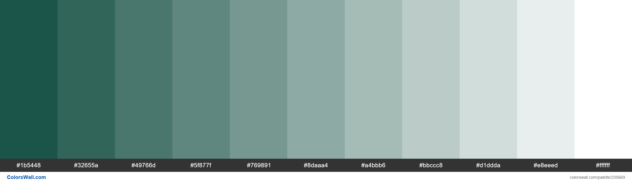 Alpine Green color hex code is #1B5448