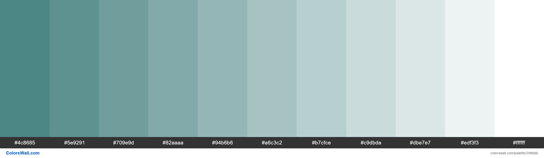 Angry Teal colors palette - ColorsWall