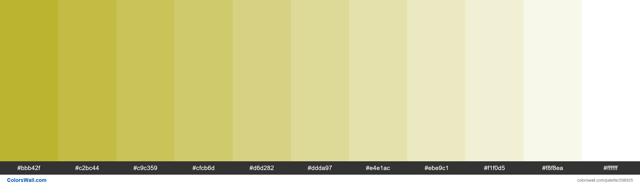 Angry Yellow colors palette - ColorsWall