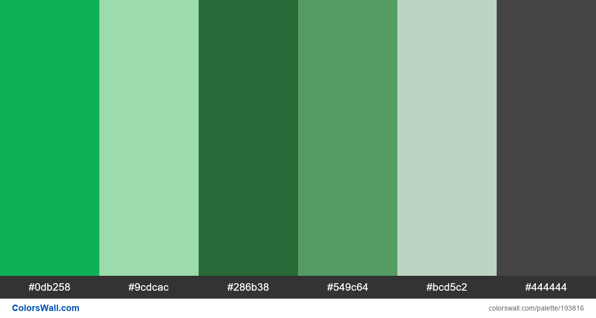 App design ux ui colors palette - #193816