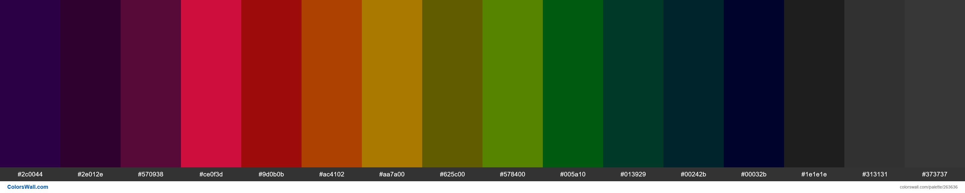 AssetType colors palette #2c0044, #2e012e, #570938 - ColorsWall