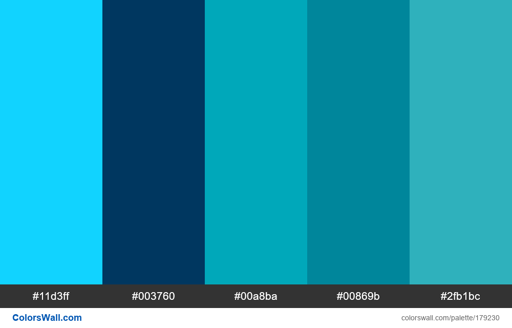 Auxion colors palette #11d3ff, #003760, #00a8ba - ColorsWall