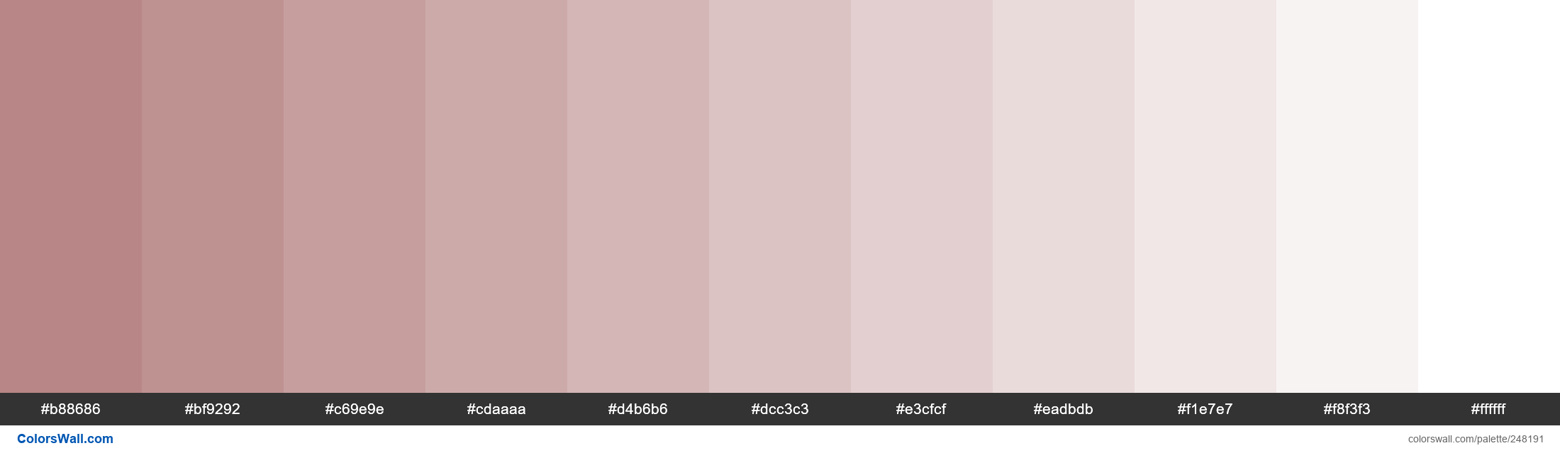 Bashful Rose colors palette - ColorsWall