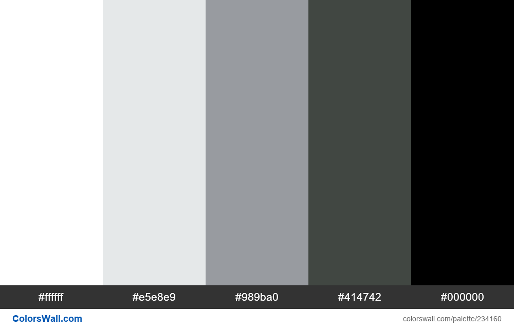 bin colors palette #ffffff, #e5e8e9, #989ba0 - ColorsWall