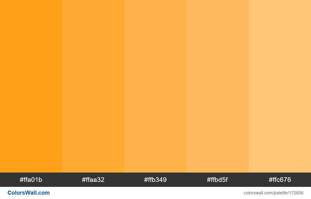 Blaze Orange Color Tints colors palette - ColorsWall