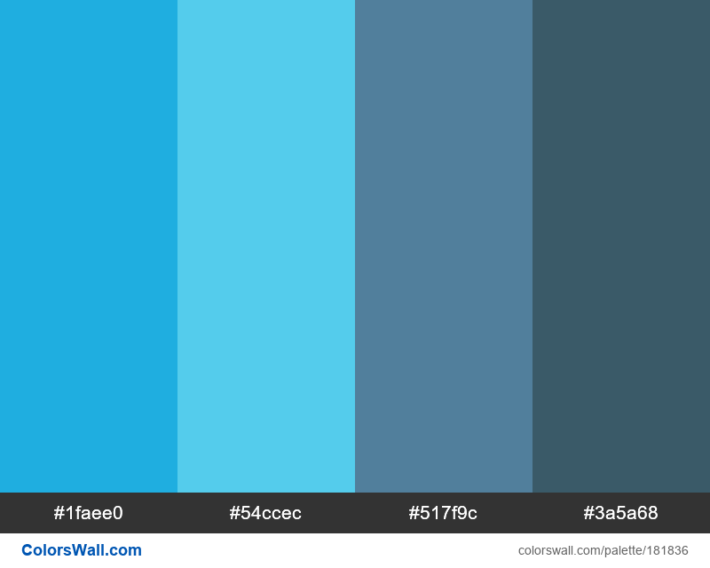 Blue Colors Palette #1faee0, #54ccec, #517f9c - Colorswall