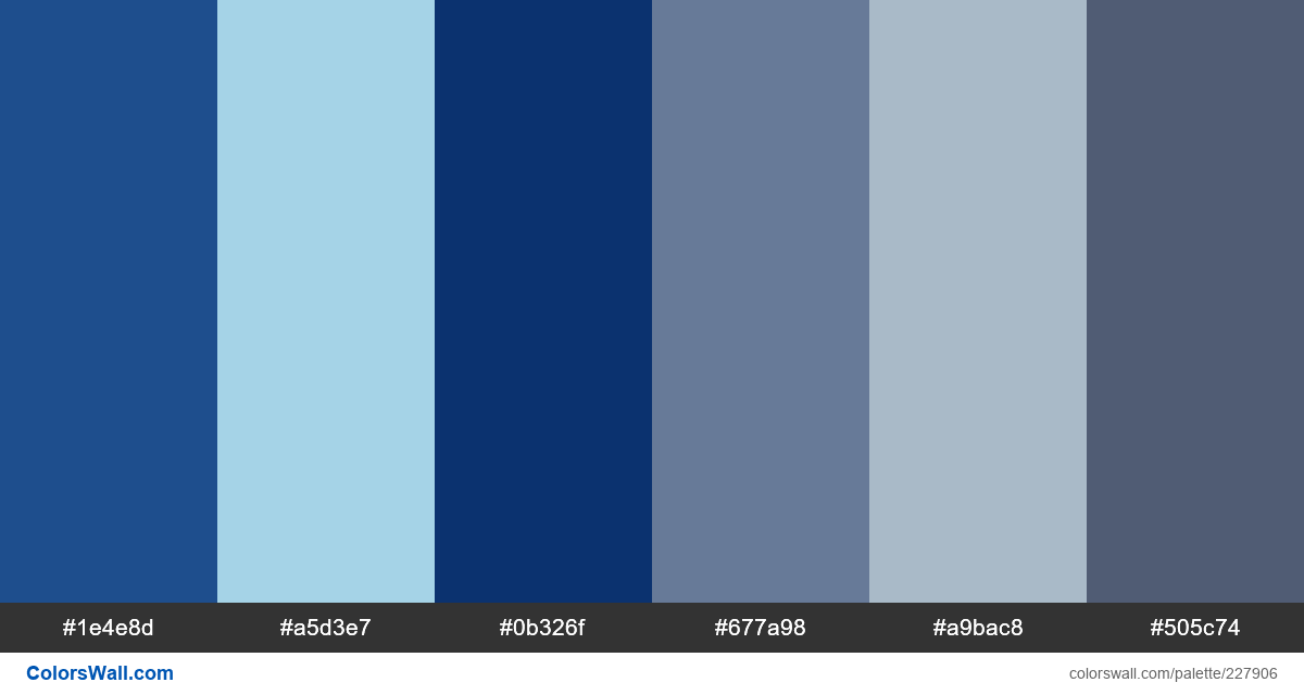 Book eagle law blue colors palette ColorsWall