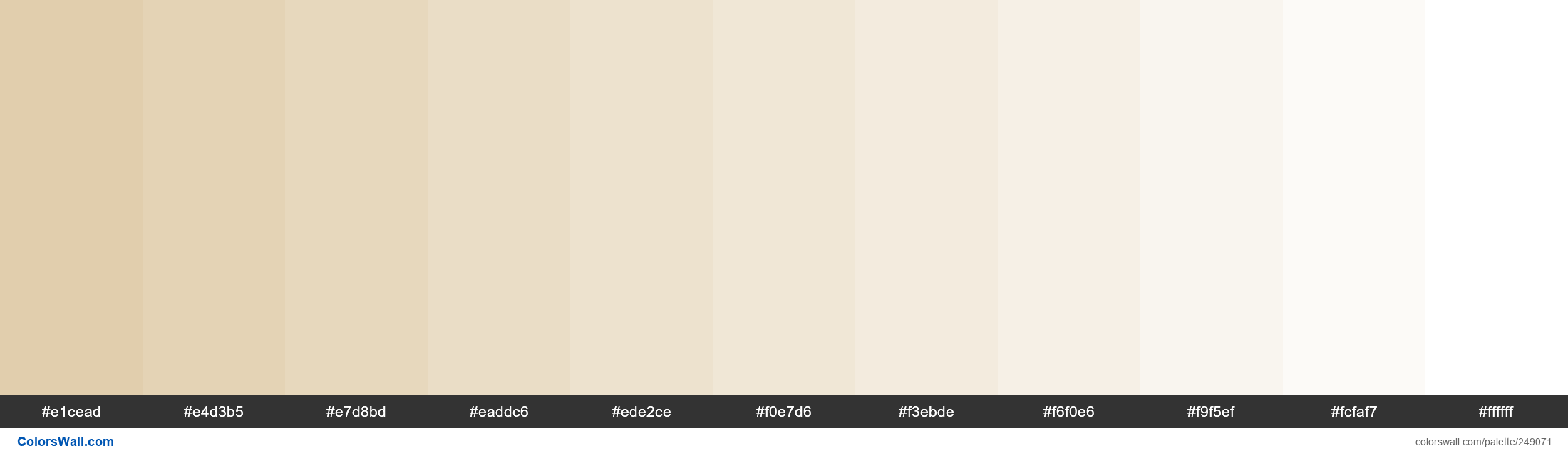 beige light Color Palette