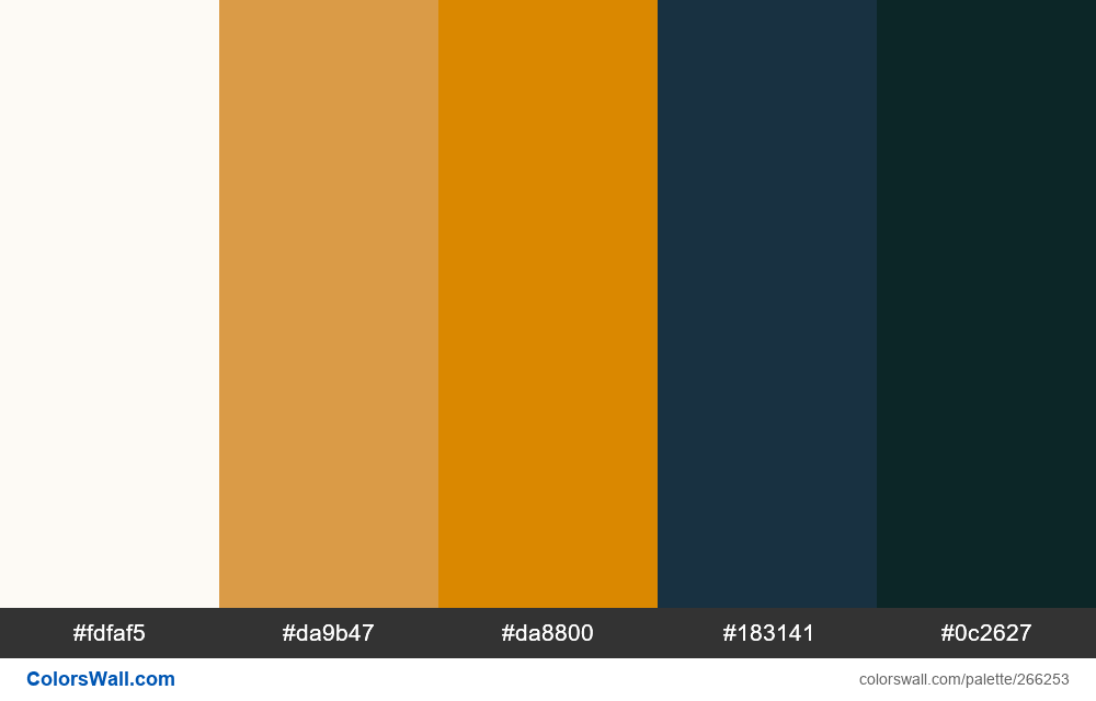 Camp at Night colors palette - ColorsWall
