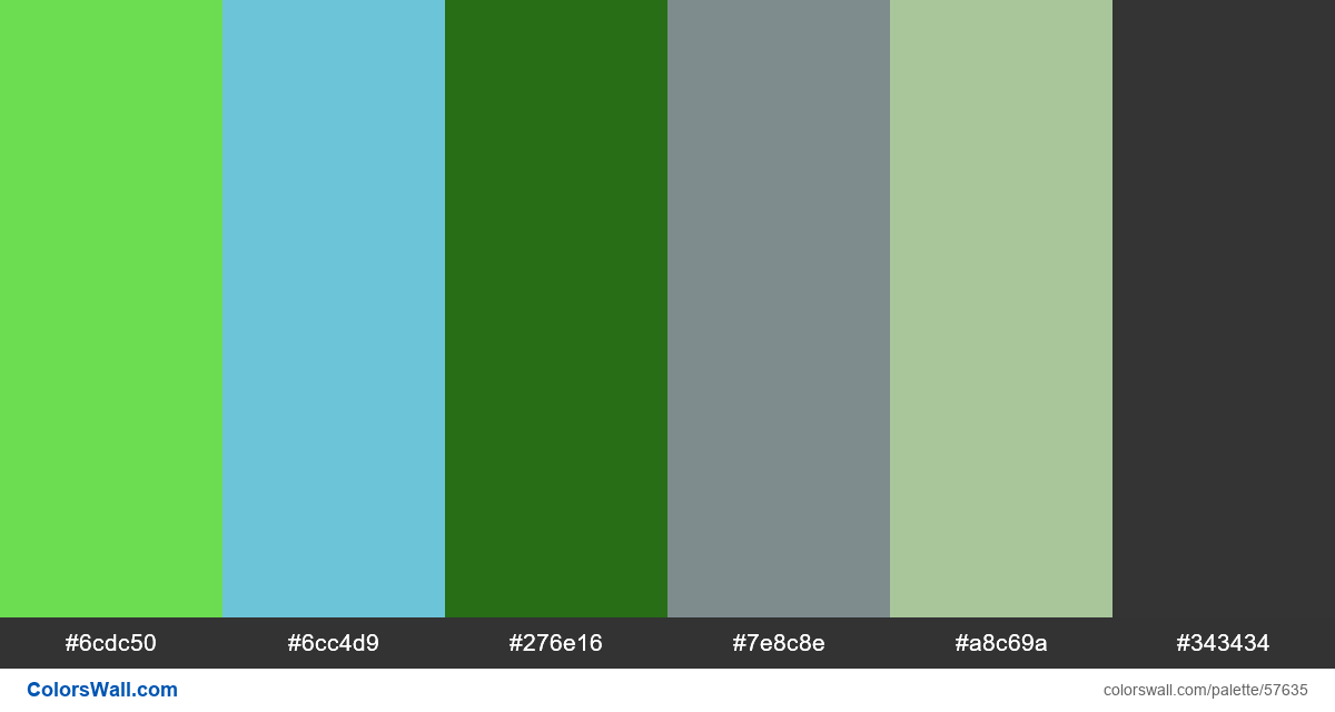 Canvas Flow Diagram Web App Saas Hex Rgb Codes