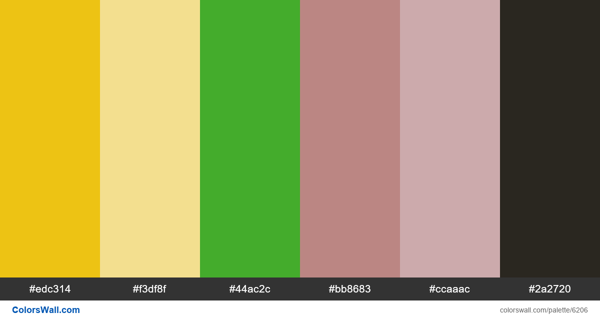 Card ui brand colors palette - #6206