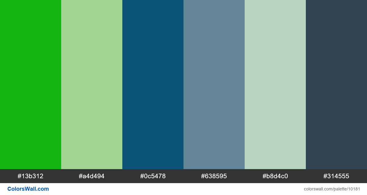 seahawks Color Palette