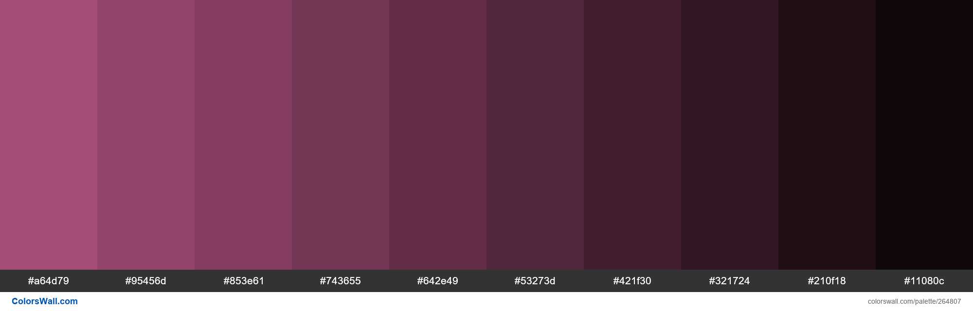 Dark Magenta 1- Shade colors palette - ColorsWall