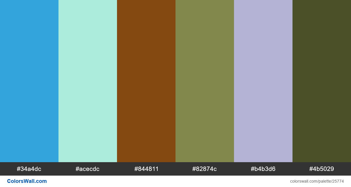 Design React Dashboard Vuejs Colors Palette Colorswall 