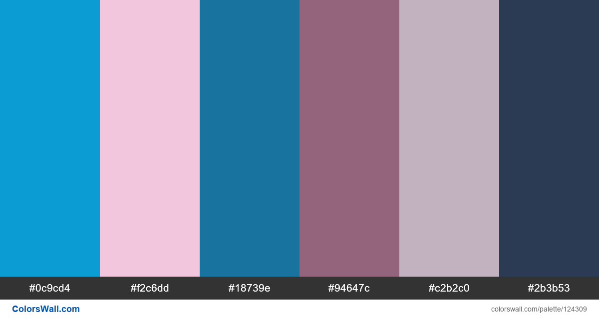 Designs ux dailyui deisgner colors palette ColorsWall