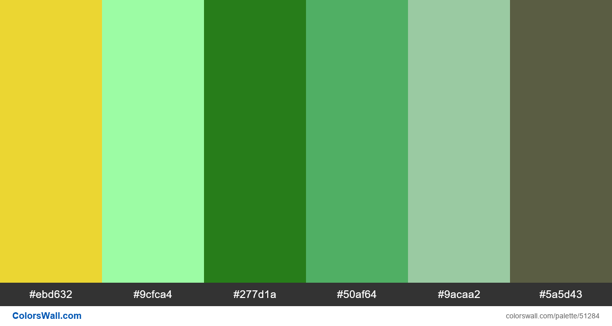 Dribbble colors design animated palette - ColorsWall