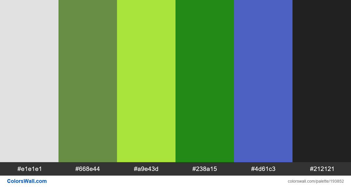Dynamic Green website palette - ColorsWall