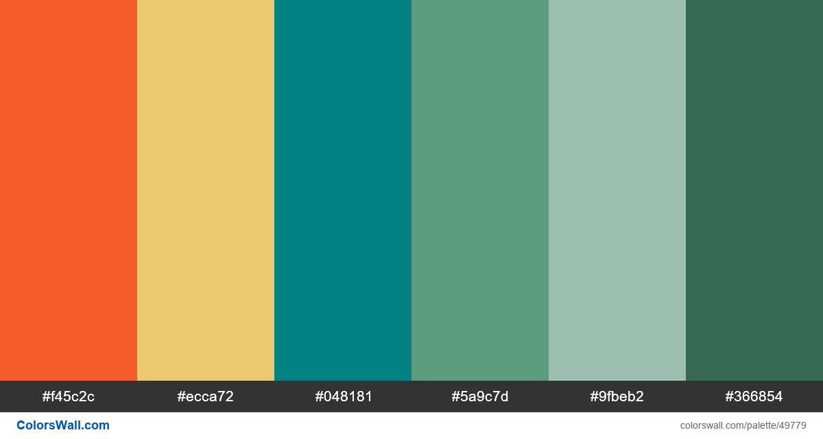Education laptop online logo colors palette - #49779