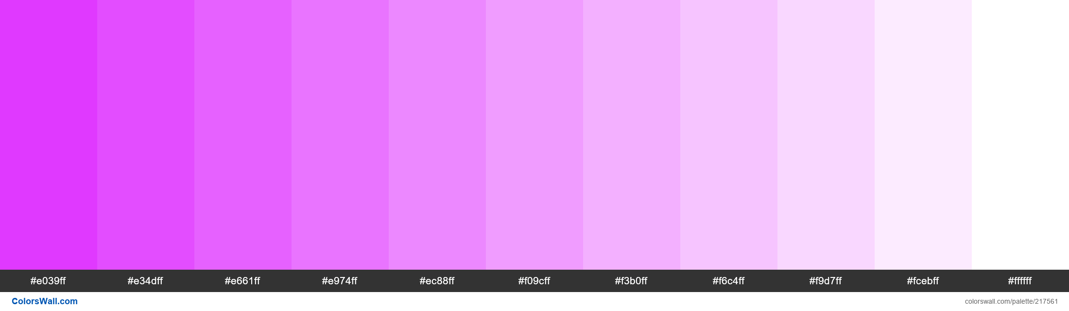 Electric Heliotrope colors palette - ColorsWall