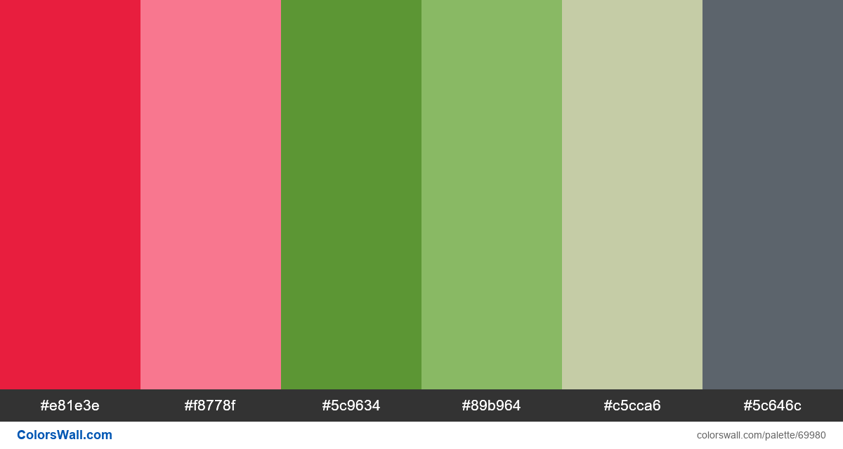 Figma Mobile App Ux Application Hex Colors Colorswall