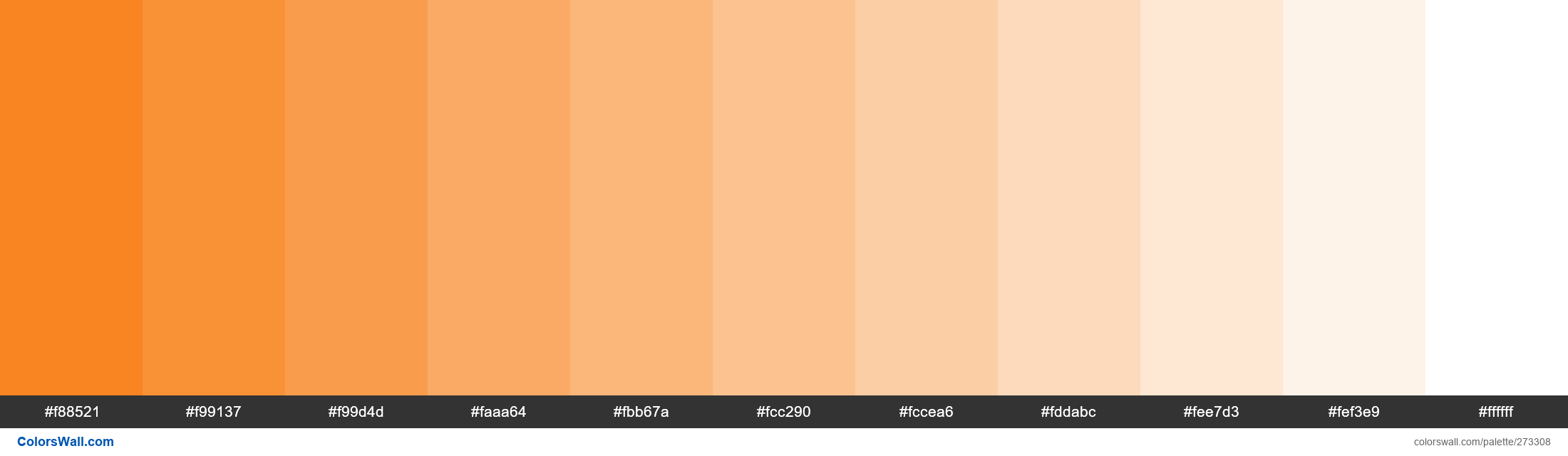 Fire Opal colors palette #f88521, #f99137, #f99d4d - ColorsWall