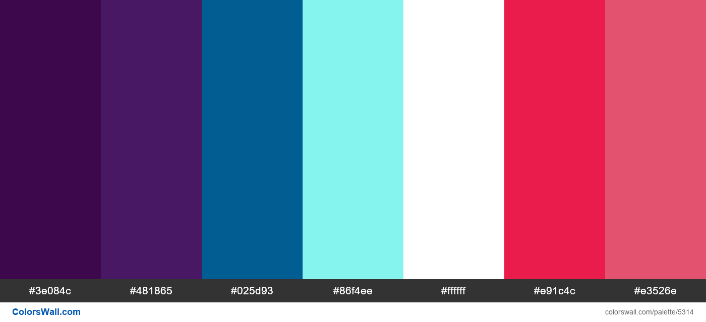 Fitness application colors palette - #5314