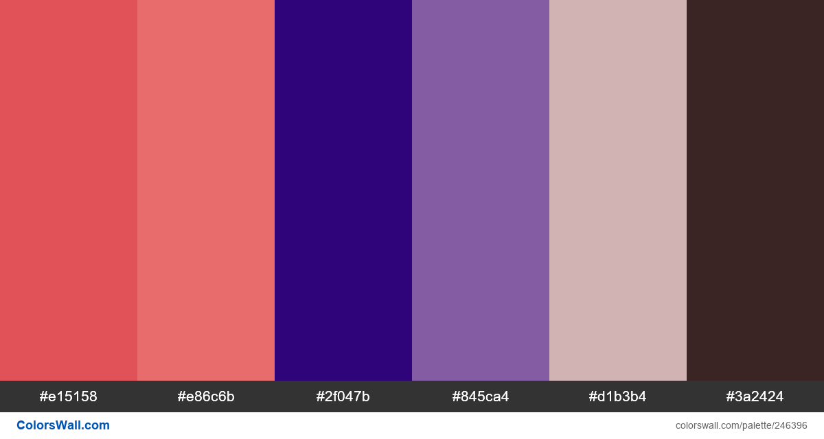 Interface Daily Ui Colors Minimal Palette Colorswall Hot Sex Picture