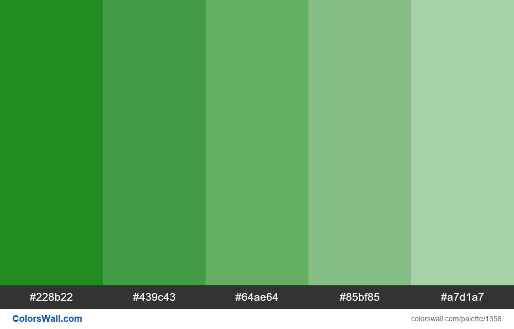 Forest green (web) tints 5 colors - ColorsWall